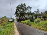 Land with 1,560m2 located near Areias.