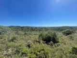 Land For Sale in Tomar, Santarém, Portugal