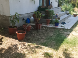 Fully renovated amazing property with nice garden near Pleven