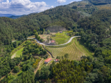 farm For Sale in Celorico de Basto, Braga, Portugal