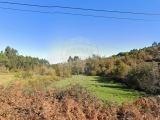 land For Sale in Celorico de Basto, Braga, Portugal