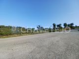 Rustic Land of 24,040 m2 with Excellent Access