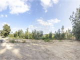 land For Sale in Santo Tirso, Porto, Portugal