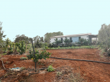  For Sale in Santa María de Guía, Santa Maria de Guia, LAS PALMAS