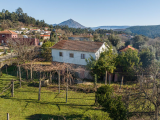 farm For Sale in Celorico de Basto, Braga, Portugal