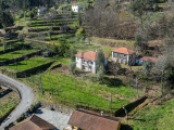 farm For Sale in Celorico de Basto, Braga, Portugal