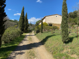 Impressive Renovated Mas With A Main House And A Gite, On 5,5 Hectares Of Land, In An Idyllic Settin