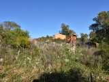 Ruined land for reconstruction Tunes Algarve