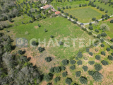 Farm with old house to recover near Chãos.