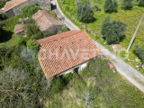 Farm with old house to recover near Chãos.