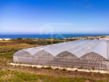 For sale Land - Ericeira 5 km, A Casa das Casas