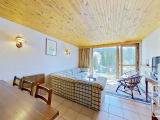 1 bedroom, 1 bathroom apartment - right in the centre of Flaine, views of the piste, cellar, ski loc