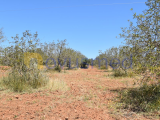 Rustic land for agricultural purposes, close to the village of Paderne