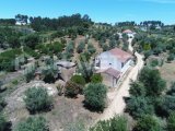 Charming Five-Bedroom Rural Retreat with Annex and Land near Tomar