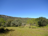 - Land - Faro - For Sale - 1009-2365
