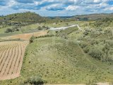 Sale of rustic land - Ericeira at 15 km, A Casa das Casas