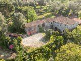 farm For Sale in Celorico de Basto, Braga, Portugal
