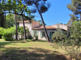 A Haven Of Peace Nestling In A Pine Forest - Charming Villa 10 Minutes From The Town Centre.