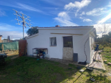  For Sale in Castilla y leon, Terradillos, SALAMANCA