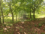 land For Sale in Arcos de Valdevez, Viana do Castelo, Portugal