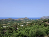 - Land - Crete - For Sale - 18373-P4LA352