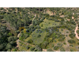 Rustic land of 3000m² in the charming Fonte Benémola - Querença, Loulé