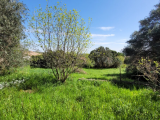Building Plot Of 1210 M2 In The Heart Of The Village In A Quiet Lane.
