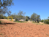 Rustic land intended for agricultural purposes, Paderne area