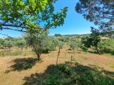 land For Sale in Tomar Santarém Portugal