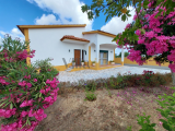 villa For Sale in Tomar Santarém Portugal
