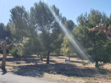 Building Plot For Sale in , , Spain