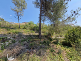  For Sale in Can Suria Olivella BARCELONA Spain