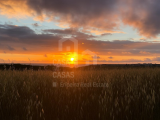 For sale Land - Ericeira 13 Km, A Casa das Casas