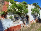 Property with 3 houses and patio 11km from Tomar and 7.5km from Ferreira do Zêzere.