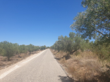 Building Plot For Sale in , , Spain