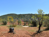 Rustic land intended for agricultural purposes, Paderne area