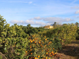 Villa For Sale in Denia, Alicante, Spain