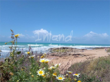 Plot For Sale in Vejer de la Frontera, Cadiz, Spain