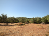 - Land - Faro - For Sale - 1009-2383