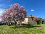 House For Sale in Champagne-Mouton, Champagne-Mouton, France