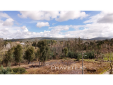 2 plots for construction, 1 includes approved house project for a 3 bed bungalow near Ansião