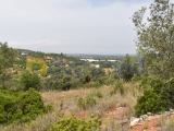 Rustic land intended for agricultural purposes, Paderne area