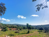 land For Sale in Faro, Faro, Portugal