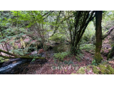 Riverside watermill ruin, with exemption from Habitation Licence suitable for conservation works