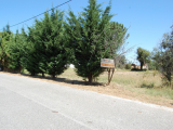land For Sale in Ferreira do Zêzere Santarém Portugal