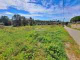 land For Sale in Tomar Santarém Portugal