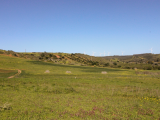land For Sale in Vila do Bispo Faro Portugal