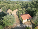 Land with rural construction and feasibility of construction in the picturesque village of Chãos, Fe