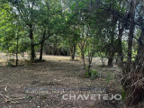 Rustic land with 2,480 m2 10 minutes from the river beach of Bairrada.