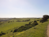 land For Sale in Vila do Bispo Faro Portugal